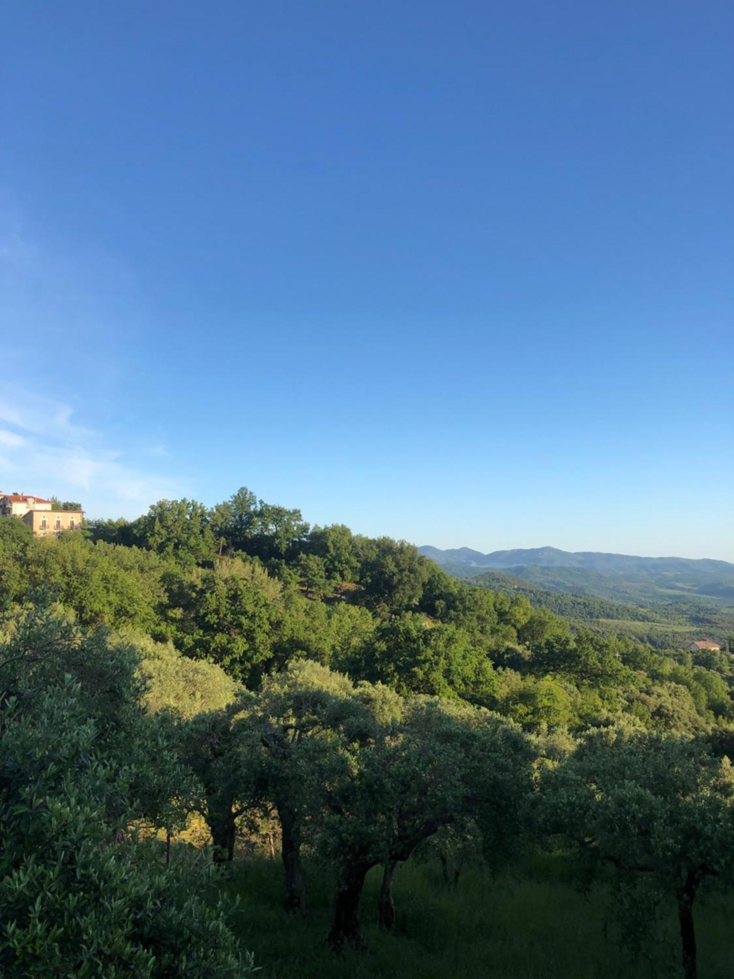 La Casa Di Lidia Bed and Breakfast Cardile Exterior foto